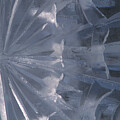 Ice Balance