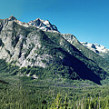 Joy to the World Stein Valley