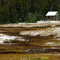 Yeti Photography - Thanksgiving