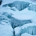 Yeti Photography - Grrr