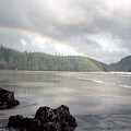 Yeti Photography - Timeless Gold